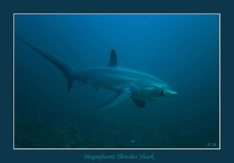 151 CRW_7368 copy.jpg